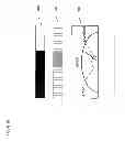 Fig. 13 - Instrument game system and method