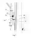 Fig. 08 - Dual resistance exercise apparatus