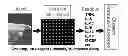 Fig. 01 - Multiphase microarrays and uses thereof