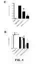 Fig. 08 - Contraceptive methods and compositions