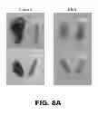 Fig. 16 - Contraceptive methods and compositions