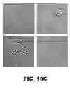 Fig. 21 - Contraceptive methods and compositions