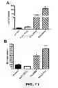 Fig. 22 - Contraceptive methods and compositions