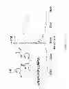 Fig. 08 - 4,6-diaminopyrimidines useful as kinase inhibitors