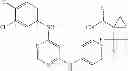 Fig. 437 - 4,6-diaminopyrimidines useful as kinase inhibitors