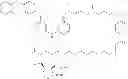 Fig. 495 - 4,6-diaminopyrimidines useful as kinase inhibitors