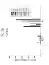 Fig. 06 - Tumor specific promoter and oncolytic virus vector comprising the same