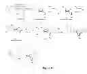 Fig. 07 - Multi-metallic organometallic complexes, and related polymers, compositions, methods and systems