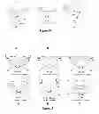Fig. 09 - Multi-metallic organometallic complexes, and related polymers, compositions, methods and systems