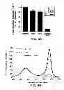 Fig. 08 - UCP4