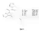 Fig. 10 - Detection of synthetic cannabinoids