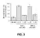 Fig. 04 - CYCLIZING LINKER AND CYCLIC CAGED MORPHOLINOS