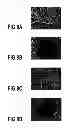 Fig. 09 - Photo-responsive liquid crystalline compound and its applications