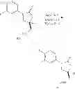 Fig. 243 - Process for the synthesis of biaryl oxazolidinones