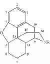 Fig. 06 - Production of alkaloids without the isolation of intermediates