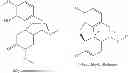 Fig. 08 - Production of alkaloids without the isolation of intermediates