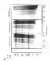 Fig. 02 - Equol-containing extract, method for production thereof, method for extraction of equol, and equol-containing food