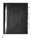 Fig. 09 - Equol-containing extract, method for production thereof, method for extraction of equol, and equol-containing food