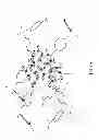 Fig. 02 - METAL (II) COORDINATION POLYMERS AND SYNTHESIZING METHOD THEREOF