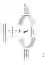 Fig. 02 - Implantable cardiac therapy device