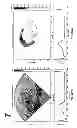 Fig. 147 - SYSTEMS AND METHODS FOR COMPOSITE MYOCARDIAL ELASTOGRAPHY