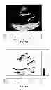 Fig. 69 - SYSTEMS AND METHODS FOR COMPOSITE MYOCARDIAL ELASTOGRAPHY