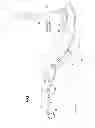 Fig. 02 - Tip assembly for a medical/surgical irrigator, the tip assembly including a reservoir for holding a therapeutic agent and a pump for discharging the agent