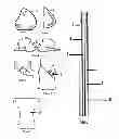 Fig. 02 - Washable, Antimicrobial, Breathable, Multi-Layered, Absorbent Sheet And Articles