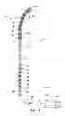 Fig. 05 - TAPERED, CURVED STYLETS FOR INSERTING SPINAL CORD MODULATION LEADS AND ASSOCIATED SYSTEMS AND METHODS
