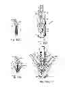 Fig. 08 - Independent gripper