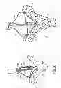 Fig. 17 - Independent gripper