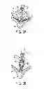 Fig. 27 - Independent gripper