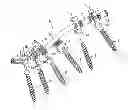 Fig. 01 - MODULAR SYSTEM FOR THE STABILIZATION OF THE SPINAL COLUMN