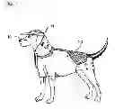 Fig. 02 - Protective clothing and apparel for pets and animals and method of use