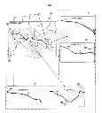 Fig. 01 - Custom printing of a travel route