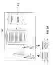 Fig. 03 - Presence and geographic location notification based on a setting