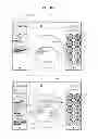 Fig. 46 - Refrigerator including a terminal, and method for controlling same