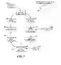 Fig. 02 - Determination of function purity for memoization