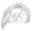 Fig. 01 - ADJUSTABLE SPORTS HELMET