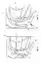 Fig. 06 - ADJUSTABLE SPORTS HELMET