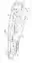 Fig. 02 - Utility cutter