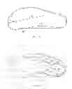 Fig. 48 - Soles for shoes or other footwear having compartments with computer processor-controlled variable pressure
