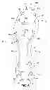 Fig. 06 - Medial rotational traction element arrangement for an article of footwear