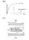 Fig. 04 - Selective catalytic reduction system