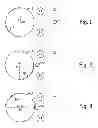 Fig. 02 - Dual opposing fiber brushing