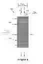 Fig. 09 - Solid particle receiver with porous structure for flow regulation and enhancement of heat transfer