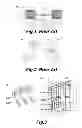 Fig. 02 - Ion trap mass spectrometer