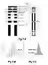 Fig. 08 - Ion trap mass spectrometer