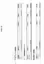 Fig. 45 - Modular supramolecular approach for co-crystallization of donors and acceptors into ordered networks