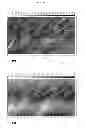 Fig. 49 - Modular supramolecular approach for co-crystallization of donors and acceptors into ordered networks